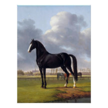 Cheval de course noir vers 1828
