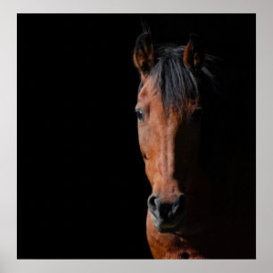 Poster Cheval de l'ombre