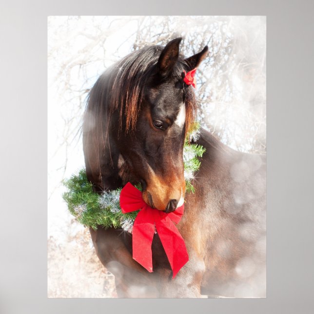 Poster Cheval de Noël rêvé (Devant)