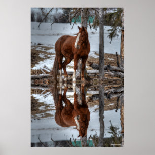 Poster Cheval Dun Ranch À Boire Trou Equine Photo