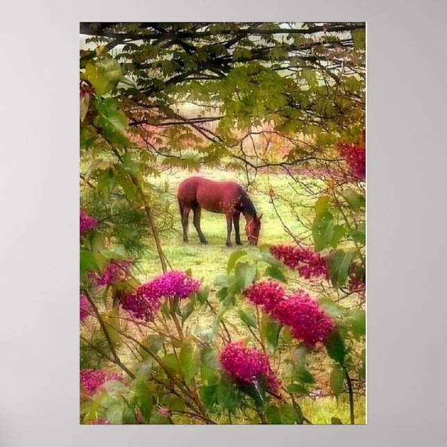 Poster Cheval et Lilacs (Devant)