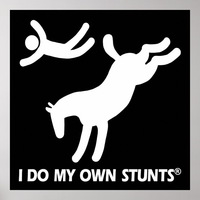 Poster Cheval Mes Propres Têtes (Devant)