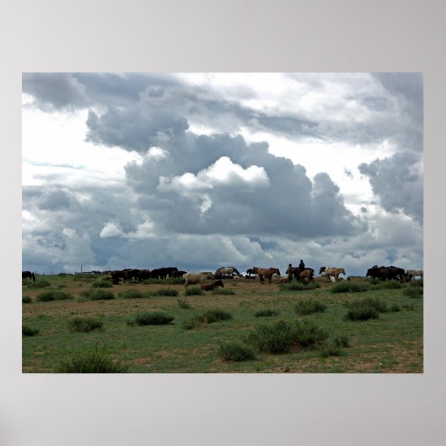 Poster Cheval mongol (Devant)