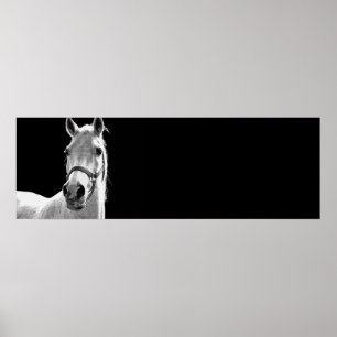 Poster Cheval noir et blanc