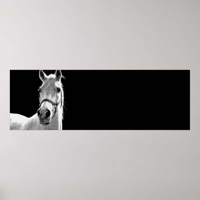 Poster Cheval noir et blanc (Devant)