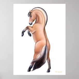 Poster Cheval norvégien de fjord élevant la copie