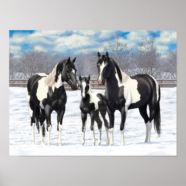 Poster Cheval Pinto Quarter Noir Chevaux Paint Chevaux Da (Devant)