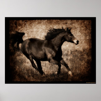 Poster Cheval Rustique Sepia Galloping