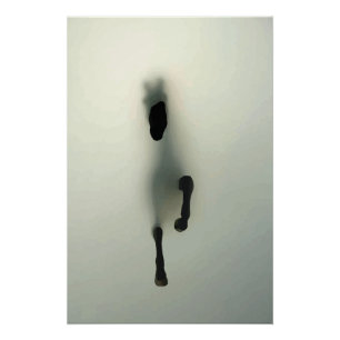 Poster Cheval traversant le brouillard