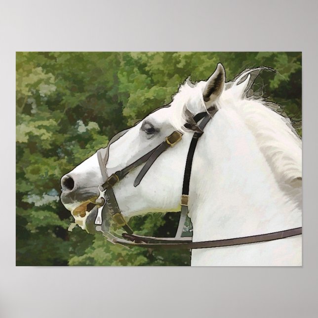 POSTER CHEVAUX (Devant)