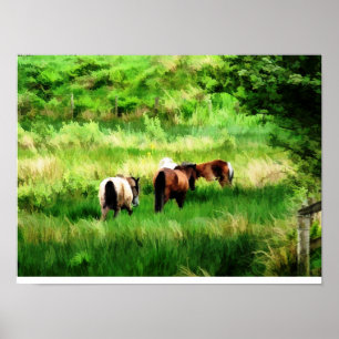 POSTER CHEVAUX