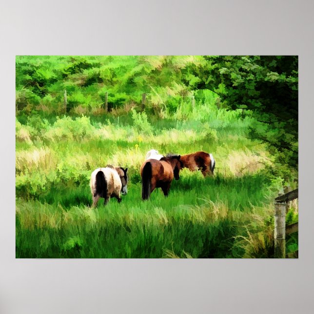 POSTER CHEVAUX (Devant)