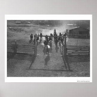 Poster Chevaux dans le corral