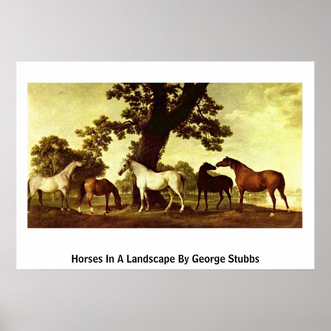 Poster Chevaux Dans Un Paysage Par George Stubbs (Devant)