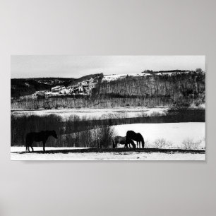 Poster Chevaux de vallée