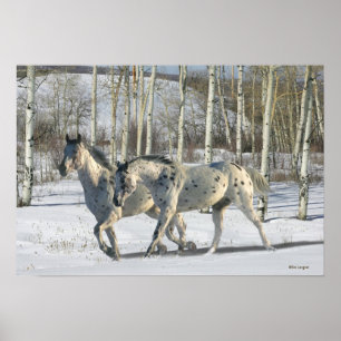 Poster Chevaux d'Imaginaire : Wonderland d'hiver