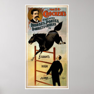 Poster Chevaux, poneys, ânes, et mules instruits