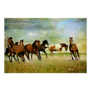 Poster Chevaux sauvages