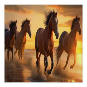 Poster Chevaux sauvages au soleil couchant Splendor