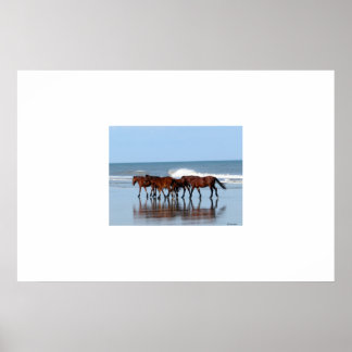 Poster Chevaux sauvages sur la plage