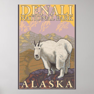 Poster Chèvre de montagne - Parc national Denali, Alaska