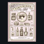 Poster chic Shabby rose français/parfumerie Paris<br><div class="desc">affiche de parfumerie de style rétro chick parisien avec bouteilles de parfum,  cosmétiques,  portrait d'une dame et typographie vintage - parfait pour une salle de bain de style français ou une maison chic shabby,  format DIN</div>