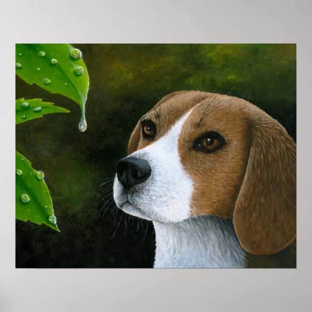 Poster Chien 116 Beagle (Devant)