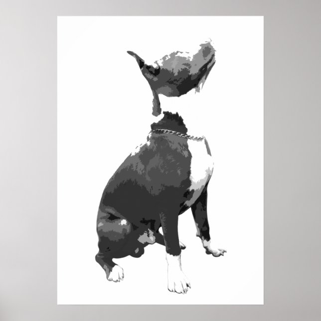 Poster Chien à tête blanche et noir tendance (Devant)