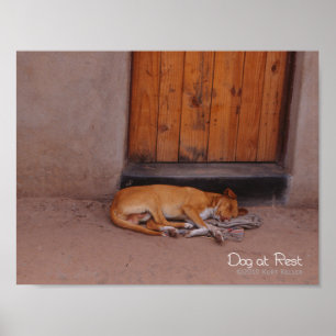 Poster Chien au repos