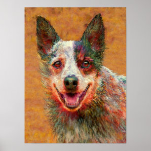 Poster chien australien de bétail