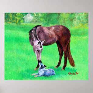 Poster Chien australien de bétail de cheval quart de