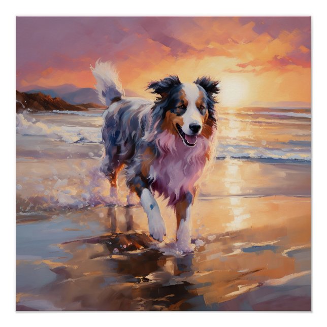 Poster Chien berger australien sable sur coucher de solei (Devant)