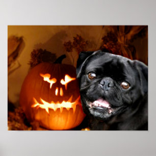 Poster Chien Carlin d'Halloween