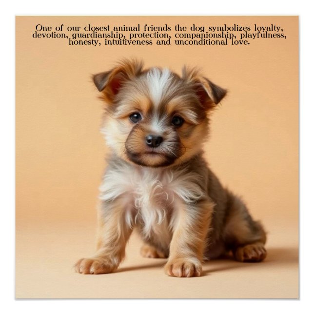 Poster Chien / Chien (Devant)