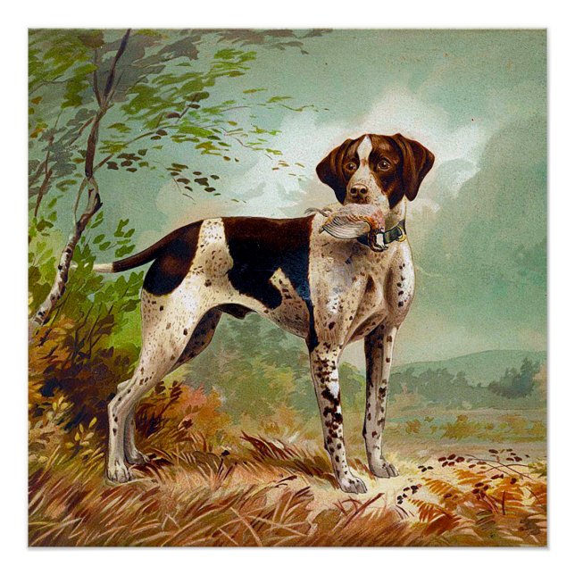 Poster Chien de chasse avec oiseau dans la bouche (Devant)