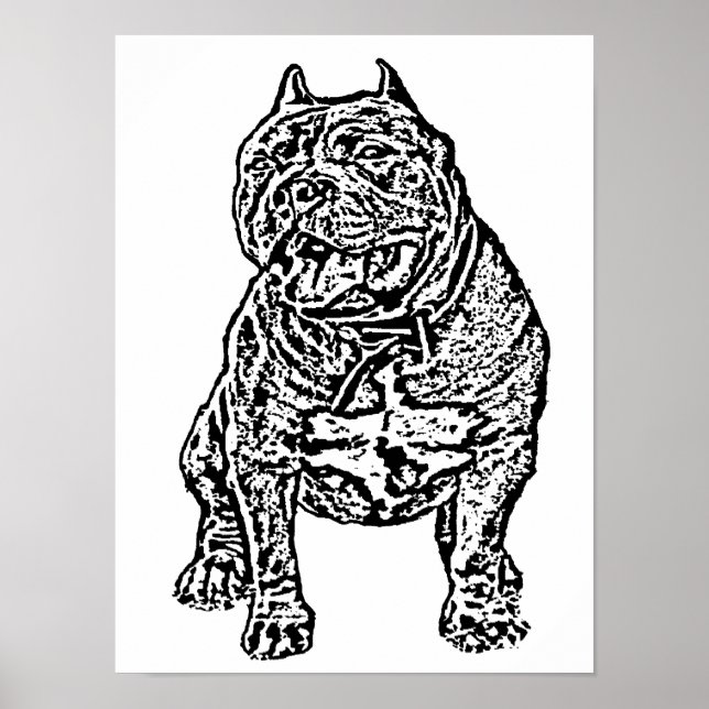 Poster Chien de taureau américain (Devant)