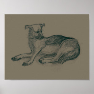 Poster Chien. Dessin au crayon.