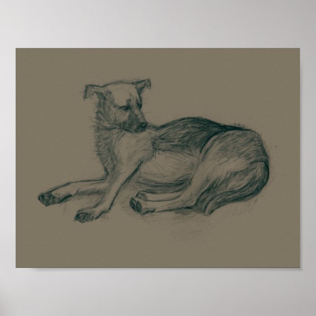 Poster Chien. Dessin au crayon. (Devant)