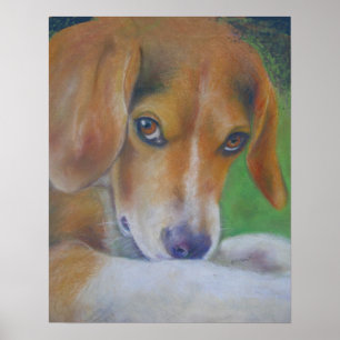 Poster Chien écarlate : yeux