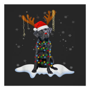 Poster Chien en pyjama avec lumières de sapin de Noël Lab