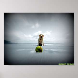 Poster Chien et balle