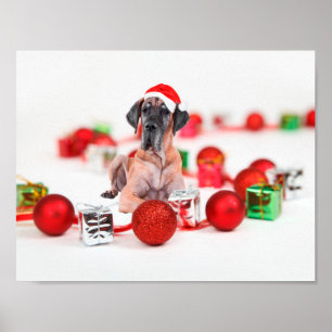 Poster Chien Great Dane Mignon Chapeau de Noël de Santa