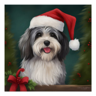Poster Chien Havanais à Noël sous la neige