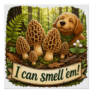 Poster Chien heureux reniflant des morilles - Amour de la