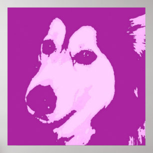 Poster Chien malamué