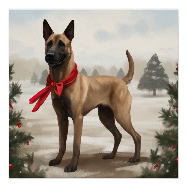 Poster Chien Malinois Belge dans la neige de Noël (Devant)