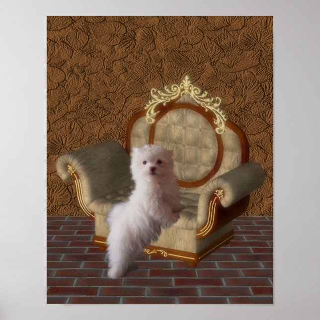 Poster Chien Maltais Sur Chaise Chien Art (Devant)