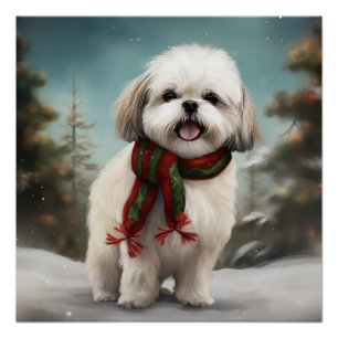 Poster Chien Malti Tzu dans la neige Noël
