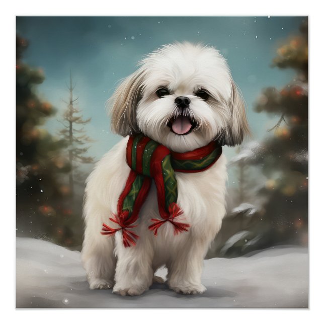 Poster Chien Malti Tzu dans la neige Noël (Devant)