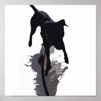 Poster chien postérigé et ombre